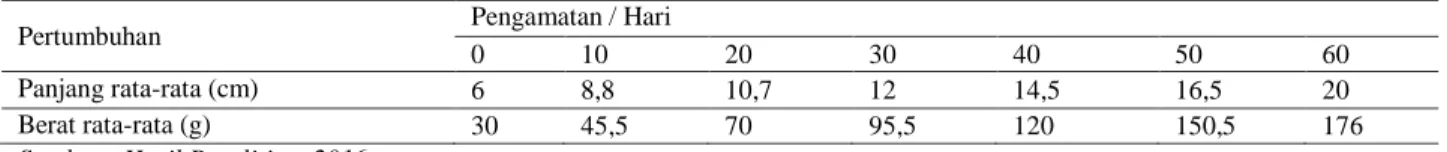 Tabel 2.  Pertumbuhan  berat  dan  panjang  rata  -  rata  ikan  nila  dalam  keramba  jaring  apung  (stasiun  2)  selama 60 hari