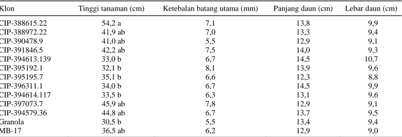 Tabel 2. Rata-rata tinggi tanaman, tebal batang utama, dan ukuran daun kentang. 