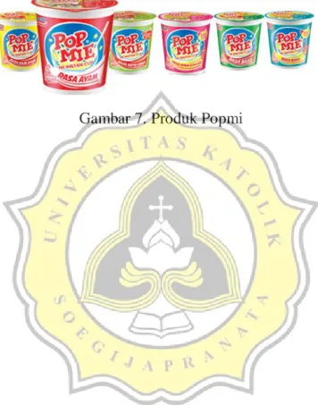 Gambar 7. Produk Popmi 
