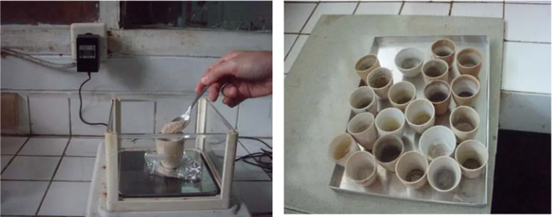 Gambar 8. Penimbangan sampel (a), Cawan porselen sebagai media untuk menyimpan  sampel untuk proses pemanasan  (b)