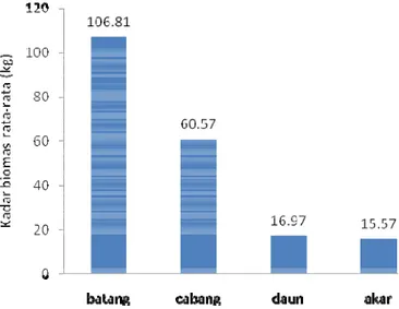 Gambar 14.  Hasil analisis kadar biomassa rata-rata 