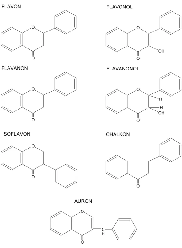Gambar 2.  Kerangka tipe-tipe flavonoid (Markham, 1988) OOFLAVONOO OHFLAVONOLOOFLAVANONOOOHHHFLAVANONOLOOISOFLAVONOCHALKONOOCHAURON