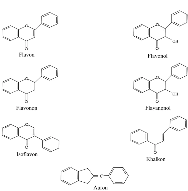 Gambar 3. Kerangka dari tipe-tipe flavonoid (Markham, 1988)                                      OH                                                         OH                                                                      C  