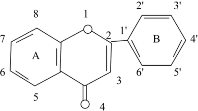 Gambar 1. Penomoran flavonoid A567843211'  2' 3' 4' 5' 6' B