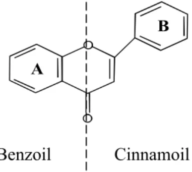 Gambar 2. Kerangka flavonoid cincin benzoil dan cinnamoil (Mabry,  et al., 1970) 