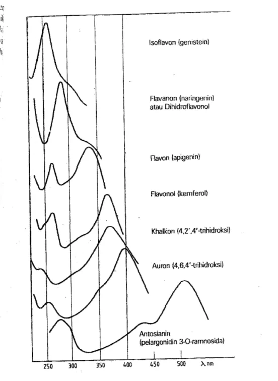 Gambar 4. Spektum serapan UV-Visual jenis flavonoid  