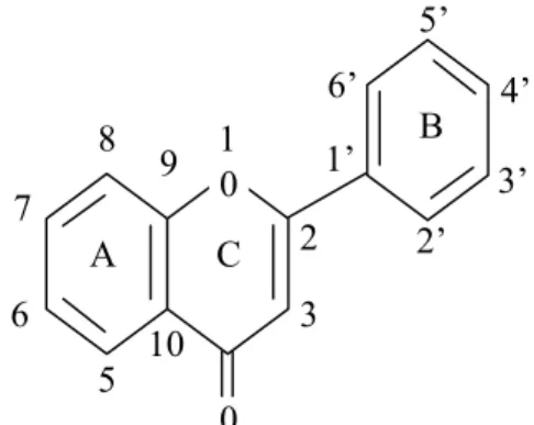 Gambar 1. Kerangka dasar flavonoid beserta penomorannya (Markham, 1988)  b. Penyebaran Flavonoid 