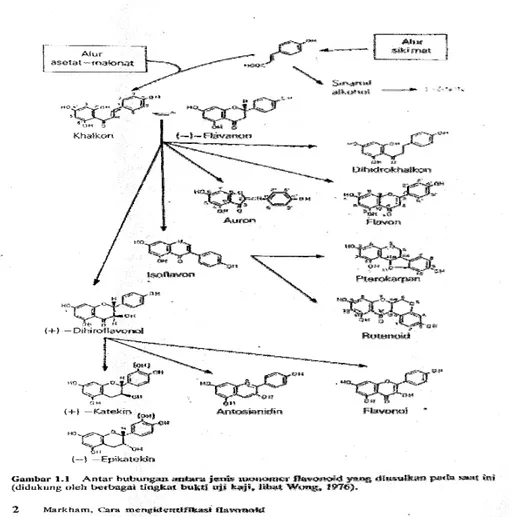 Gambar 2. Kerangka dari tipe-tipe flavonoid (Markham, 1988) 