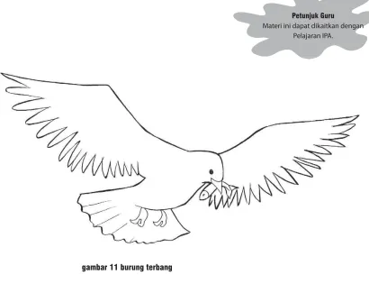 gambar 11 burung terbang