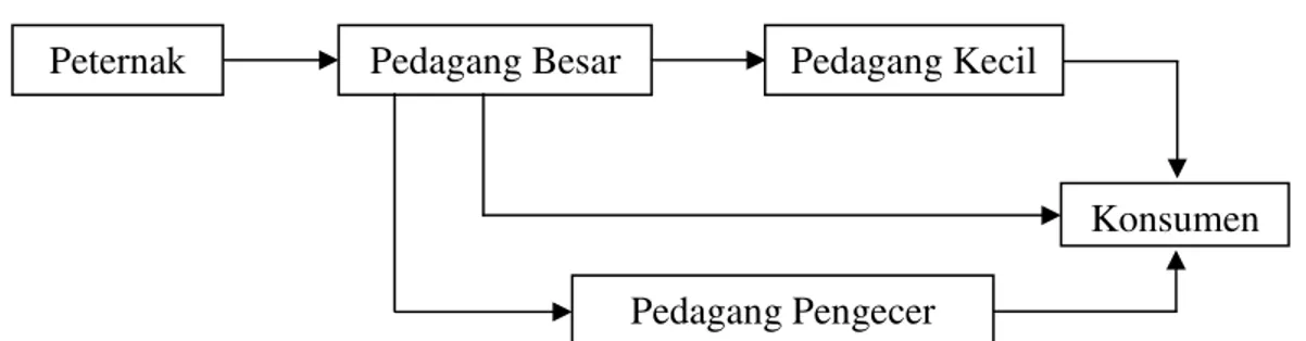 Gambar 4.  Saluran Pemasaran Pedagang Ayam Ras Pedaging di Pasar Baru Bogor 