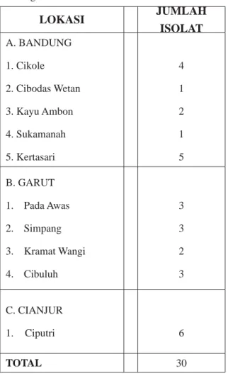 Tabel 1. Jumlah Isolat dari Beberapa Lokasi Budi Daya  Kentang di Jawa Barat