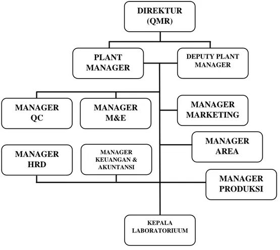 Gambar 2 Struktur PerusahaanDIREKTUR(QMR)MANAGERM&amp;EMANAGERQCPLANTMANAGER DEPUTY PLANTMANAGERMANAGERKEUANGAN &amp;AKUNTANSIMANAGERMARKETINGMANAGERHRD MANAGERAREA MANAGERPRODUKSIKEPALALABORATORIUUM