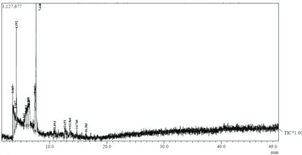Figure 4. Chromatogram graph of liquid smoke of puspa (Schima wallichii)