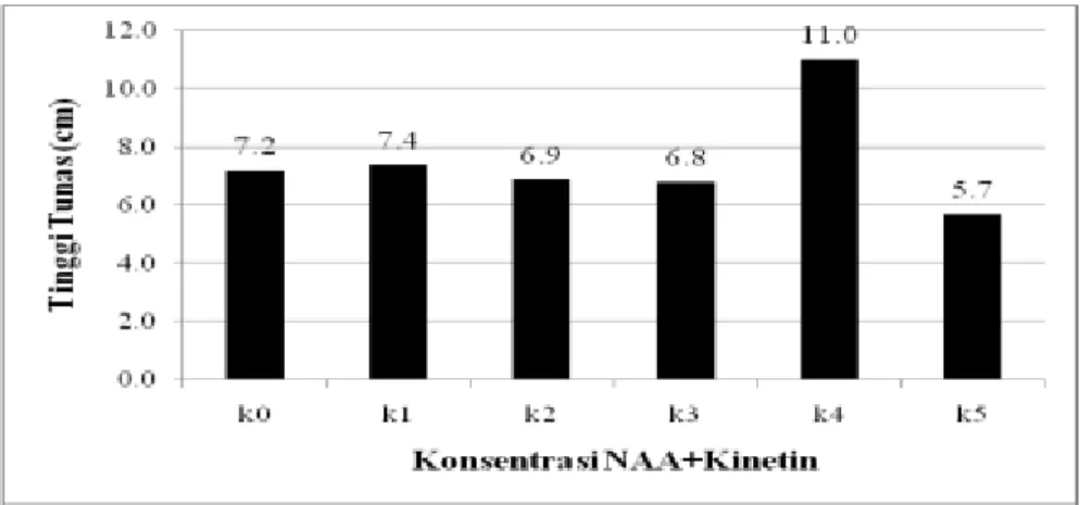 Tabel  1.    Pengaruh  Konsentrasi    Zat  Pengatur  Tumbuh  NAA  dan  Kinetin  terhadap  Rata-rata  Jumlah  Daun  (helai) 
