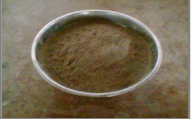 Gambar 1. Sampel Abu Terbang 