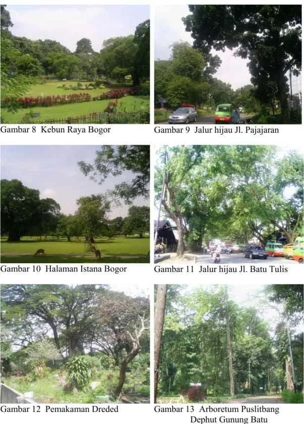 Gambar 8  Kebun Raya Bogor  Gambar 9  Jalur hijau Jl. Pajajaran 