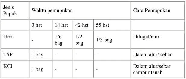 Tabel : waktu dan cara pemberian pupuk anorganik pada pertanaman padi gogo  Jenis 