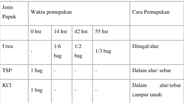 Tabel : waktu dan cara pemberian pupuk anorganik pada pertanaman padi gogo 