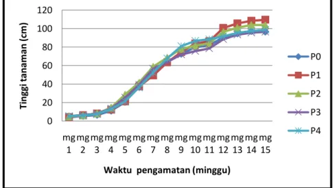 Gambar 1.  Grafik pertambahan  tinggi tanaman tomat pada masing-masing perlakuan  perendaman benih dengan bakteri P.alcaligenes TrN2 