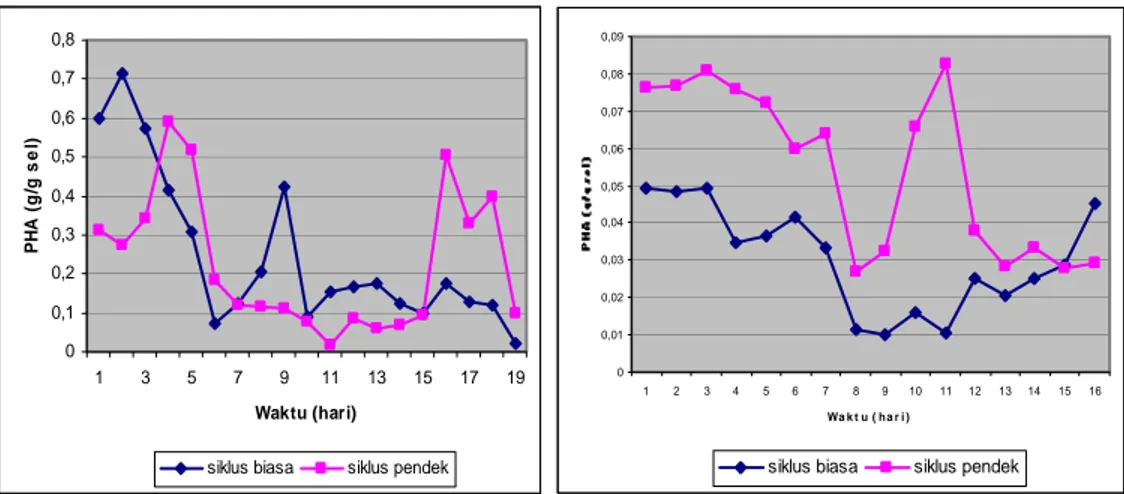 Gambar 4. Perolehan PHA untuk waktu     pengisian 8 jam 