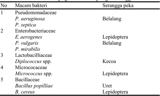 Tabel 2. Beberapa genera bakteri patogen serangga 