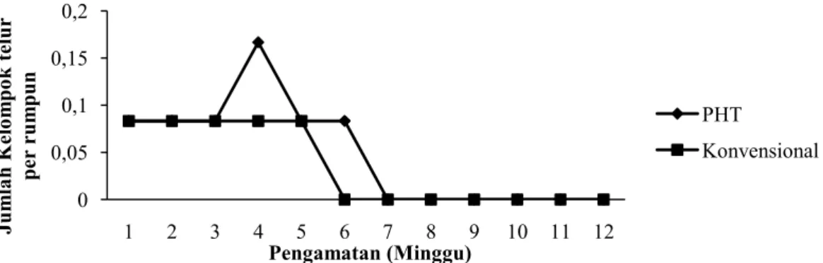 Gambar 1. Rerata populasi kelompok telur penggerek batang padi di lahan PHT dan  konvensional per rumpun 