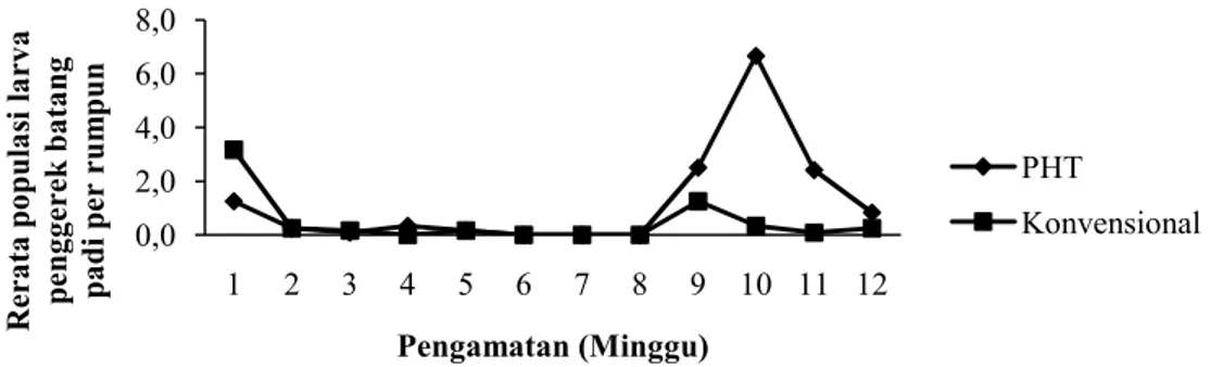 Gambar 2. Rerata populasi larva penggerek batang padi pada PHT dan konvensional per  rumpun