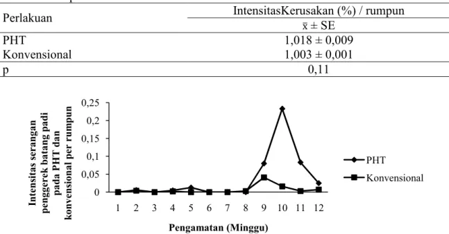 Tabel  2.  Intensitas  Serangan  Penggerek  Batang  Padi  pada  PHT  dan  Konvensional  per  rumpun 