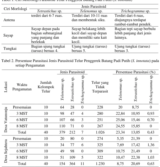 Tabel 1. Ciri Morfologi Parasitoid Telur Penggerek Batang Padi Putih (S. innotata) 