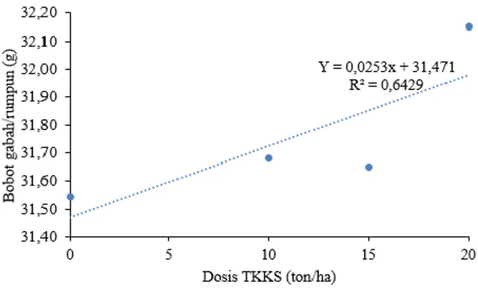 Gambar 4. Hubungan antara dosis pupuk organik  TKK dan bobot gabah isi/rumpun 