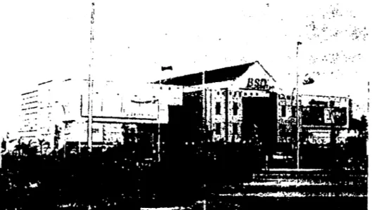 Gambar 2.10 : BSD Plaza, bangunannya unikdan meriah.