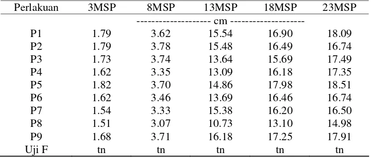 Tabel 3. Pengaruh Komposisi Pupuk Daun terhadap Tinggi Tanaman Anggrek Dendrobium sp. 