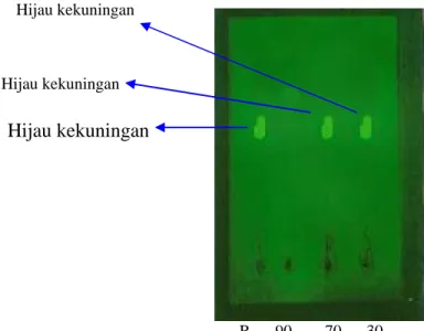 Gambar 2. Hasil kromatografi lapis tipis ekstrak etanolik daun Salam (Polyanthum  (wight.) Walp) menggunakan  fase gerak campuran butanol, asam asetat, dan air dengan perbandingan 4 : 1 : 5, pada sinar UV 254  nm 