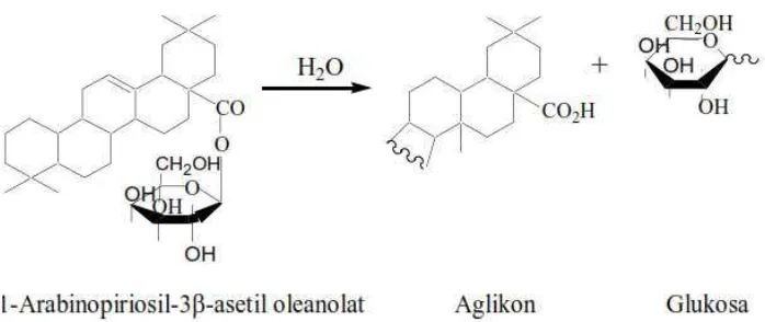 Gambar 4.3. Reaksi hidrolisis saponin dalam air (Marliana et al., 2005) 
