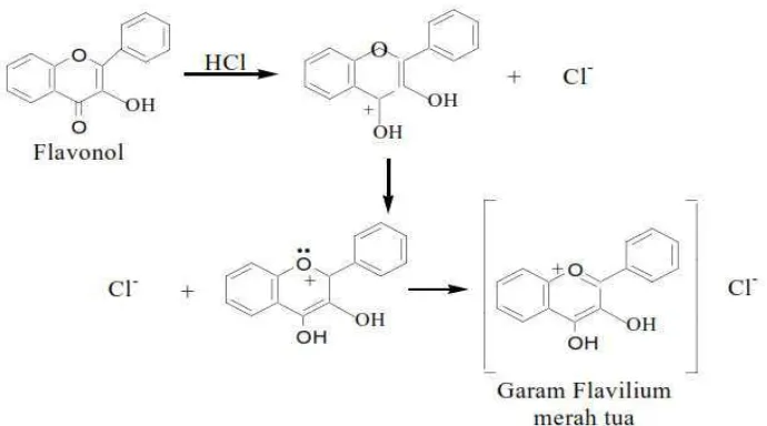 Gambar 4.7. Mekanisme reaksi pembentukan garam flavilium (Marliana  et al., 2005) 