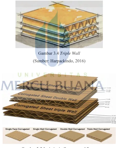 Gambar 3.4 Triple Wall  (Sumber: Harpackindo, 2016) 