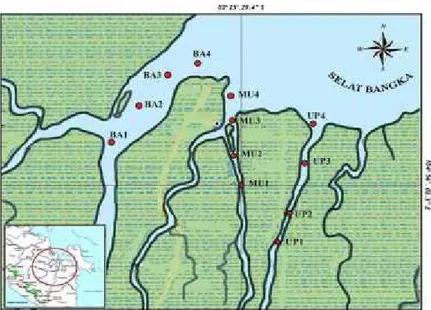 Gambar 1. Lokasi Pengamatan Estuari Banyuasin, Musi dan Upang