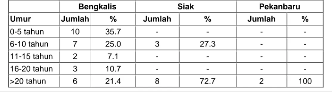 Tabel 1  Umur Usaha 