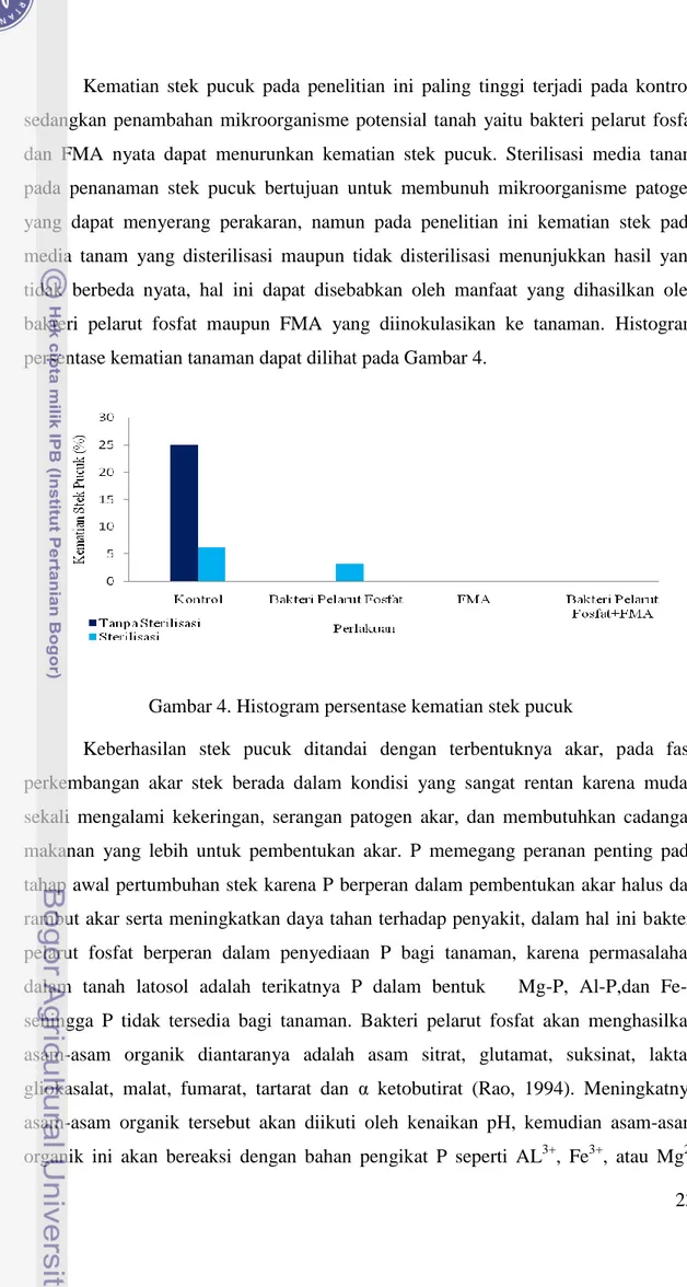 Gambar 4. Histogram persentase kematian stek pucuk 