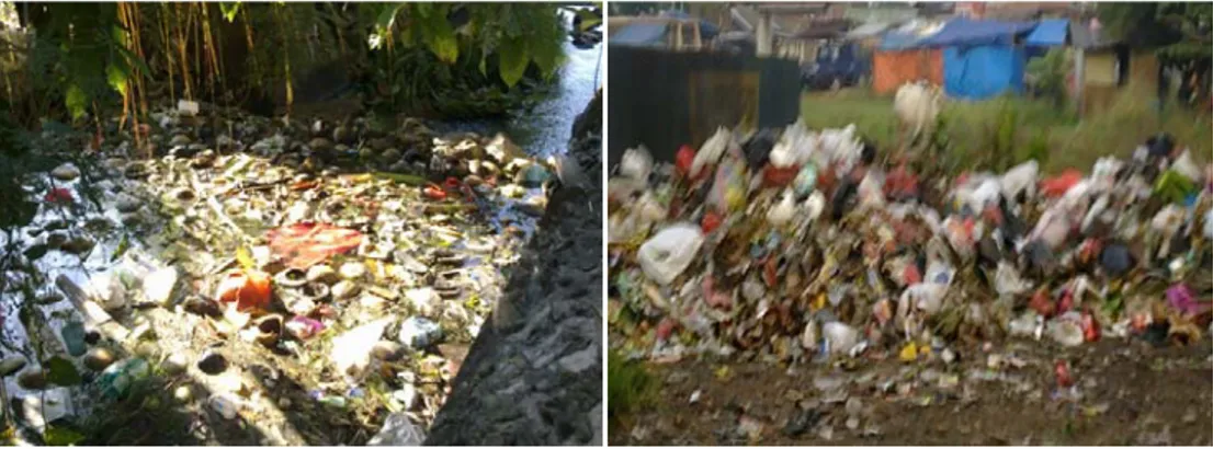 Gambar 5.  Pola pengumpulan sampah warga dengan memanfaatkan lahan kosong  dan Sungai (Gambar diambil di Sukarame pada bulan Mei 2011)