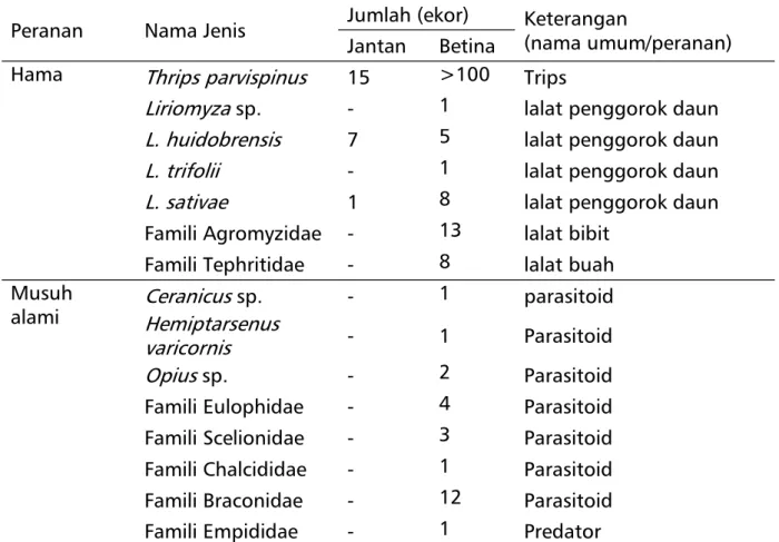 Tabel 1.  Total koleksi sampel serangga hama dan musuh alami pada tanaman       cabai di Kabupaten Garut 
