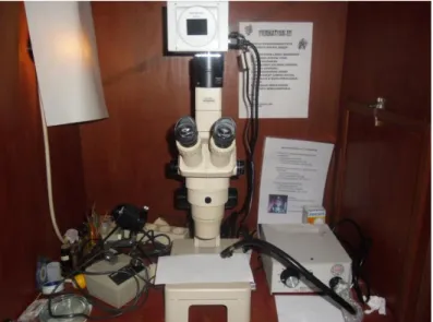 Gambar 3  Mikroskop  stereo  dengan  kamera  digital  tipe  OLYMPUS  11D,  digunakan untuk pemotretan semua stadia Trissolcus sp