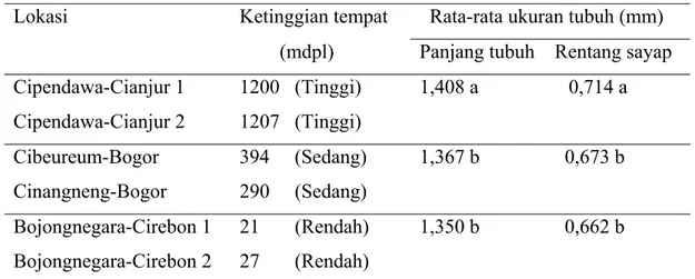 Tabel 1 Rata-rata ukuran tubuh Thrips parvispinus pada berbagai ketinggian  tempat 