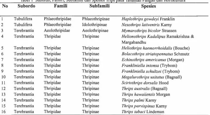 Tabel  1  Subordo, Famil i, Subfamili dan  Spesies Trips pada Tanaman Pangan dan Hortikultura 