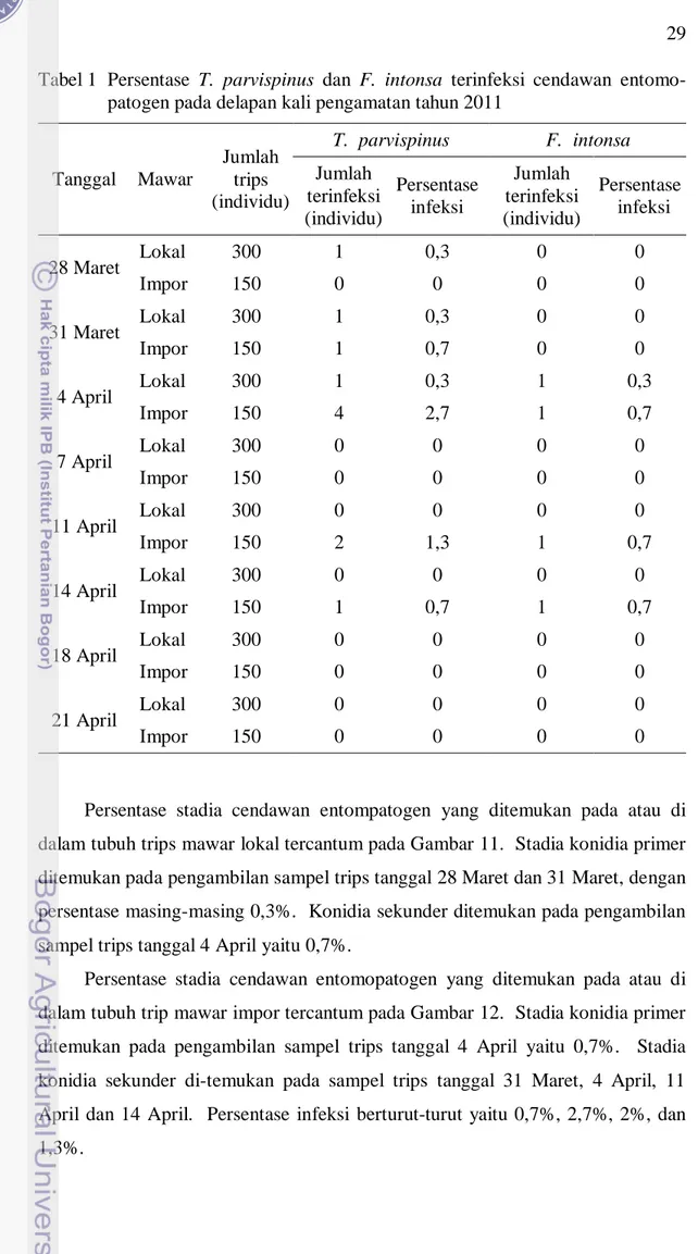 Tabel 1  Persentase  T.  parvispinus  dan  F.  intonsa  terinfeksi  cendawan  entomo- entomo-patogen pada delapan kali pengamatan tahun 2011 
