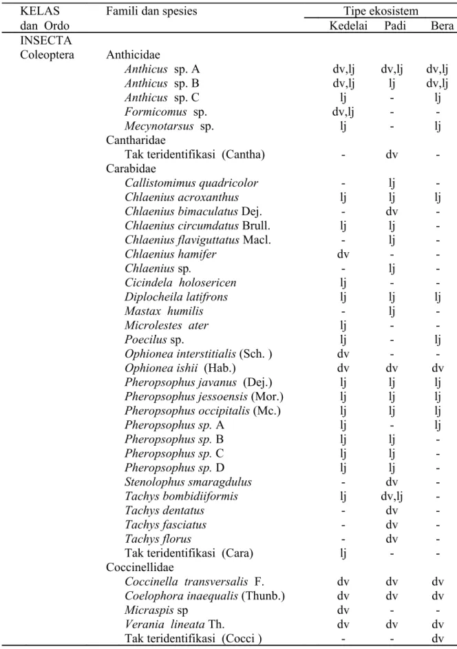 Tabel 1. Komposisi spesies predator  yang  tertangkap D-vac dan lubang jebakan  pada tiga tipe  ekosistem selama  musim kemarau 1997/1998 