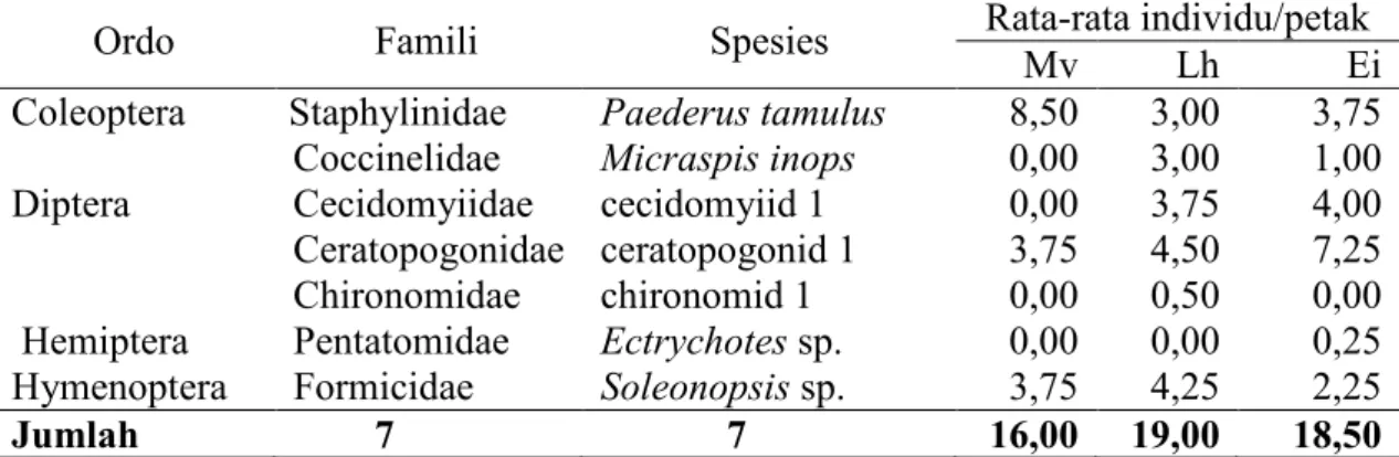 Tabel 1.  Keanekaragaman dan Kelimpahan Populasi Serangga Predator pada Berbagai    Tumbuhan Liar 
