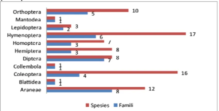 Gambar 1. Komposisi Arthropoda berdasarkan jumlah famili dan jumlah  spesies pada lahan kontrol  