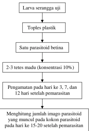 Gambar 1. Diagram alir pelaksanaan uji pengaruh jenis inang. 