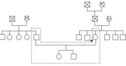 Gambar  Genogram Ny. M  